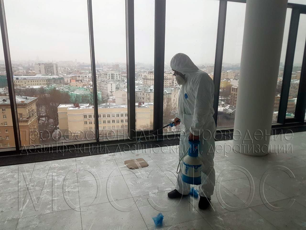 Обработка от тараканов в квартире в Краснознаменске