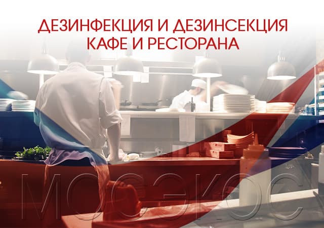 Дезинсекция предприятия общественного питания в Краснознаменске